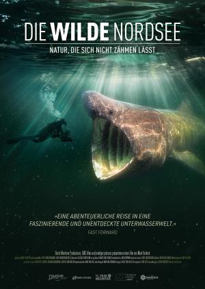 Die wilde Nordsee